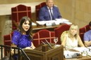 Pleno Juntas Generales Bizkaia (20.07.2016)