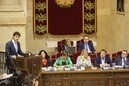 Pleno política general del Territorio histórico de Bizkaia 2018